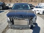 Lot #3302646147 2020 KIA TELLURIDE