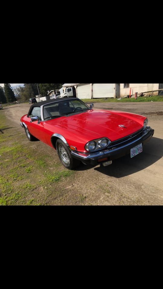 Lot #3125216362 1990 JAGUAR XJS CLASSI
