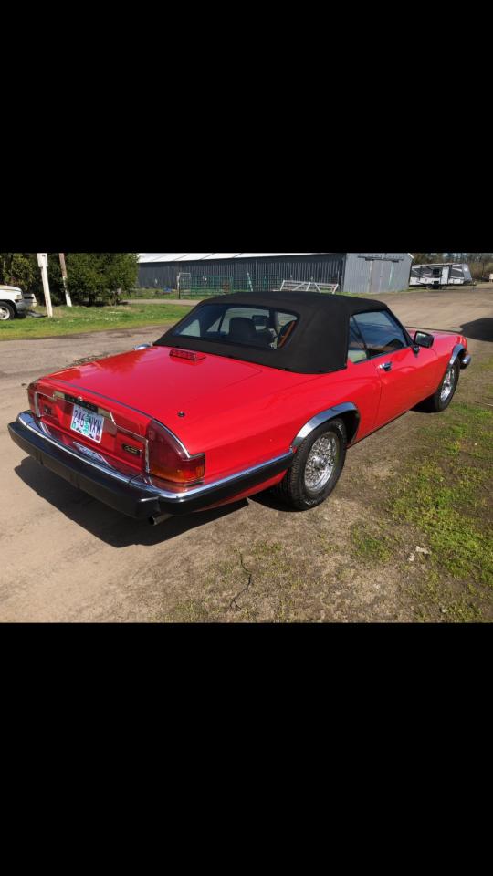 Lot #3125216362 1990 JAGUAR XJS CLASSI