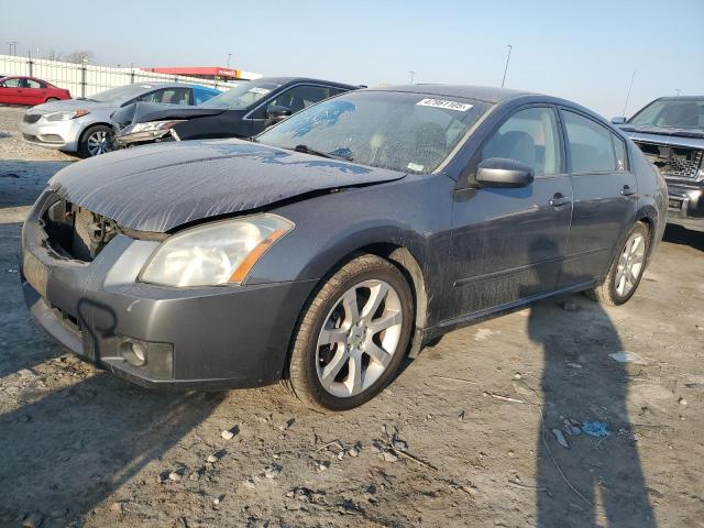 NISSAN MAXIMA SE