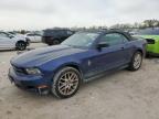 1ZVBP8EN4A5158026 FORD MUSTANG Photo 1