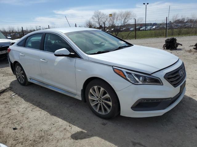 Vin: 5npe34af2gh346281, lot: 50127755, hyundai sonata sport 20164