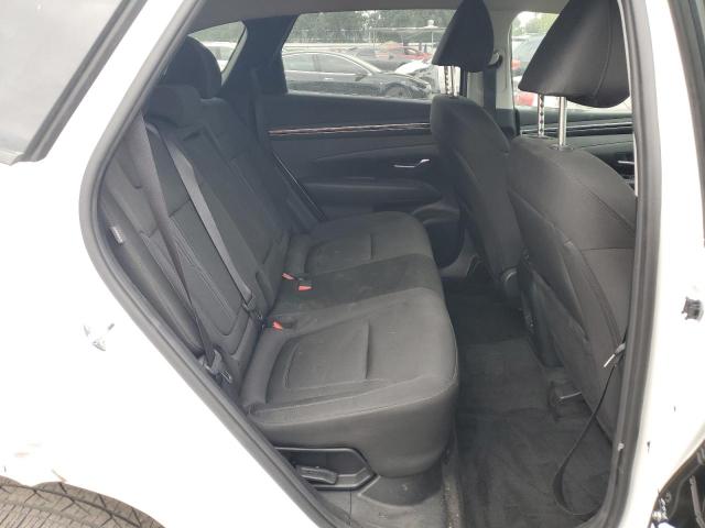 2024 HYUNDAI TUCSON BLU KM8JBCD14RU228460