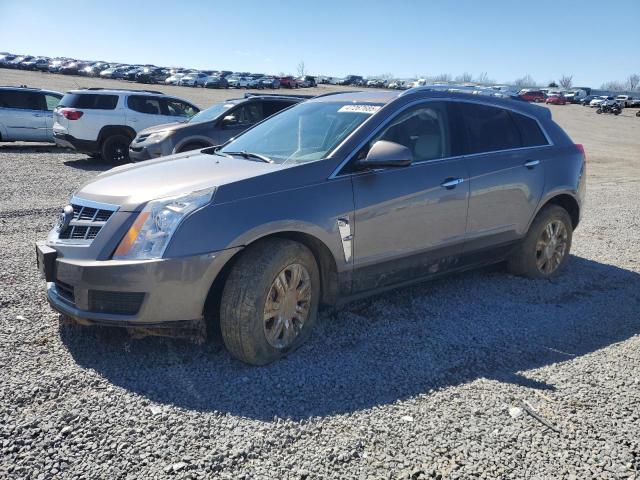 2011 CADILLAC SRX LUXURY - 3GYFNAEY6BS662834