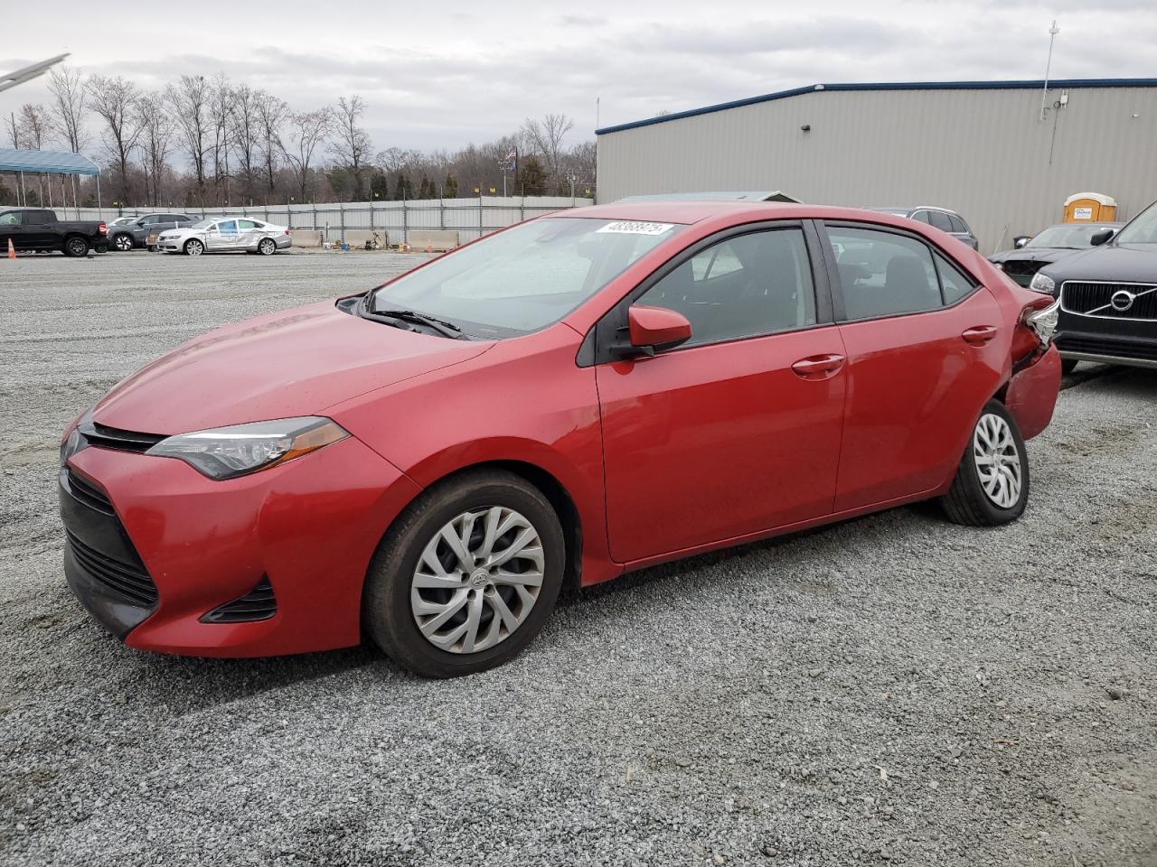 TOYOTA COROLLA L