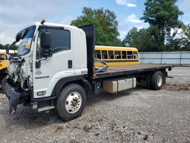 ISUZU FTR