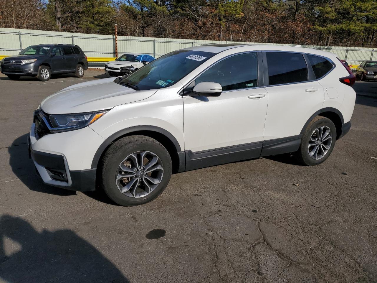 Honda Cr-v exl 2022