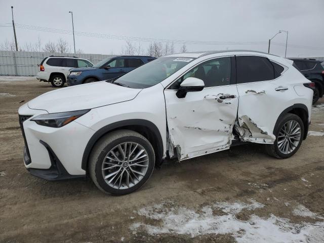 Vin: 2t2ggcez8pc026876, lot: 46683055, lexus nx 350 350 2023 img_1