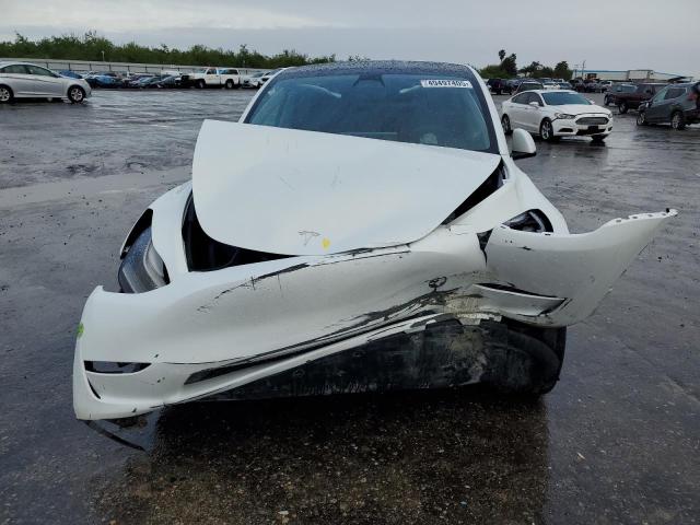 2023 TESLA MODEL Y - 7SAYGAEE2PF753228