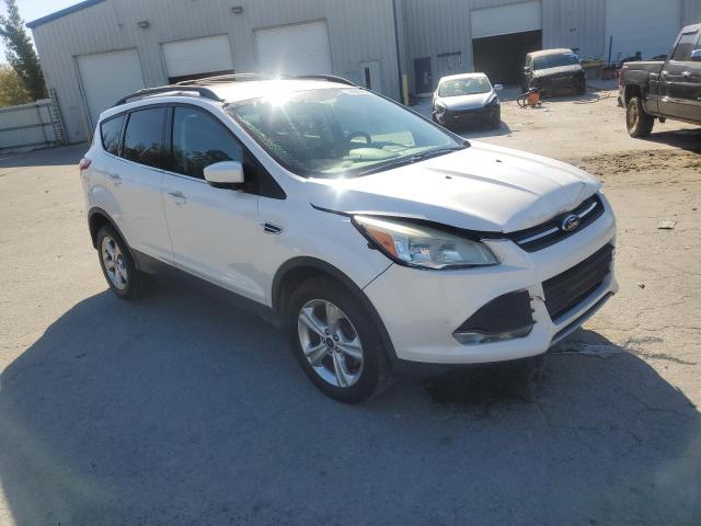 Vin: 1fmcu0gxxdud35409, lot: 50602795, ford escape se 20134