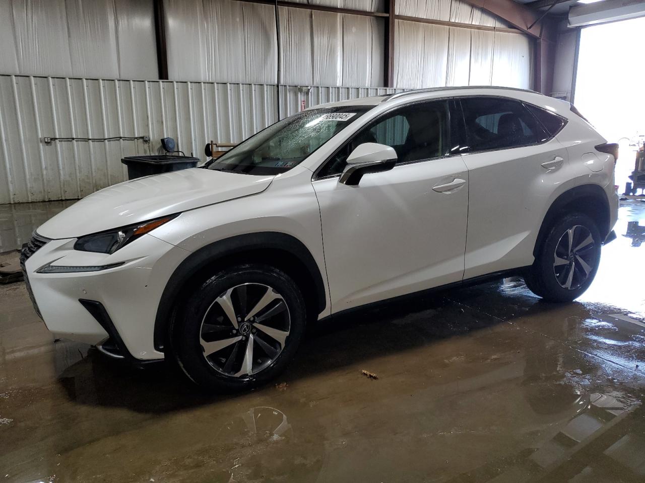 JTJBARBZXJ2161979 LEXUS NX 300 BAS 2018