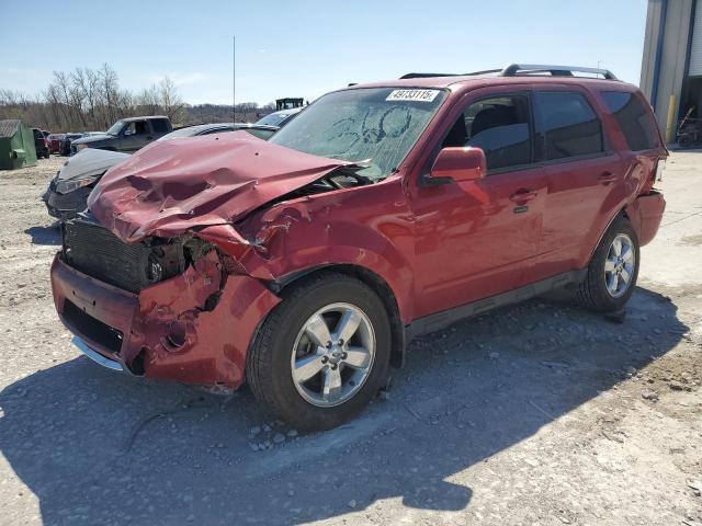 Vin: 1fmcu0eg5akd25171, lot: 49733115, ford escape limited 2010 img_1