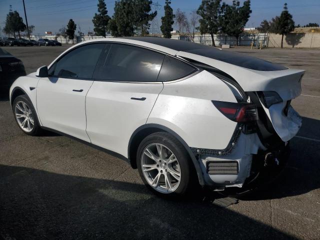 TESLA MODEL Y 2021 white  electric 5YJYGDEE4MF204219 photo #3