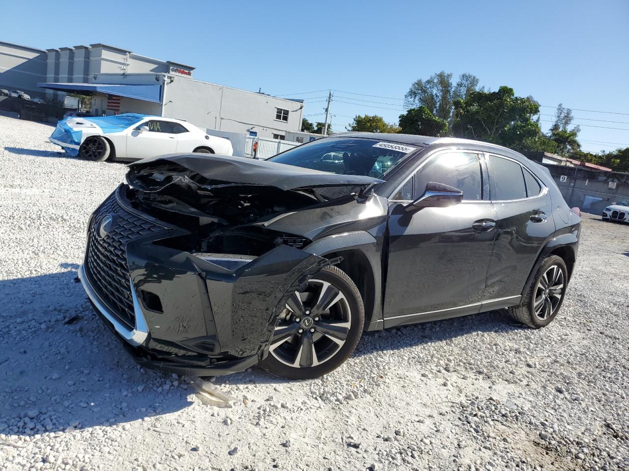 LEXUS UX 300H BASE