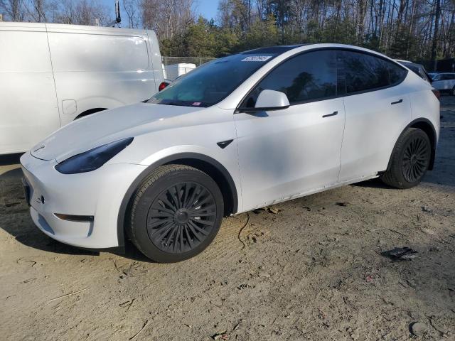 2023 TESLA MODEL Y - 7SAYGDEE3PF667377