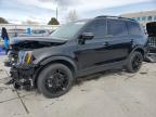 2024 KIA TELLURIDE - 5XYP5DGC8RG551601