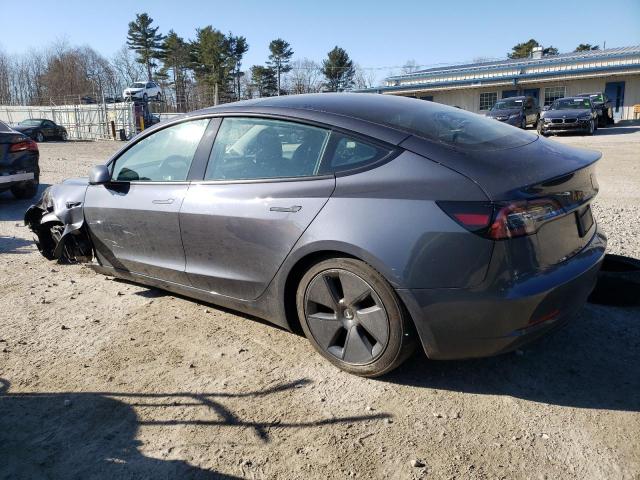 2023 TESLA MODEL 3 - 5YJ3E1EA7PF393951