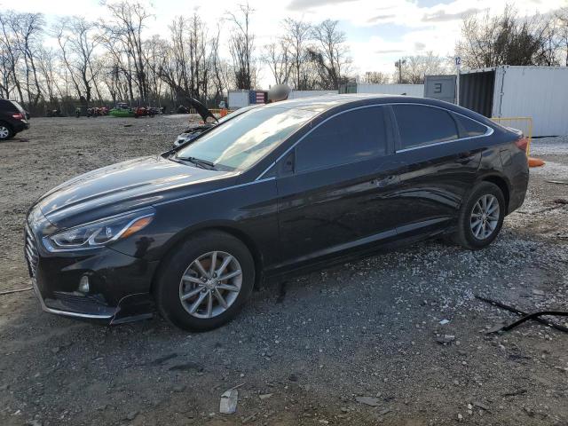 Vin: 5npe24af7kh816901, lot: 50893735, hyundai sonata se 2019 img_1