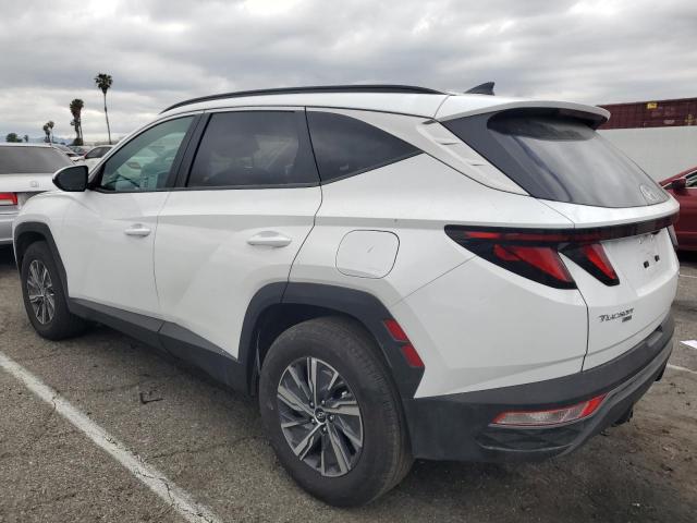 Vin: km8jbcd14ru228460, lot: 48106235, hyundai tucson blue 20242