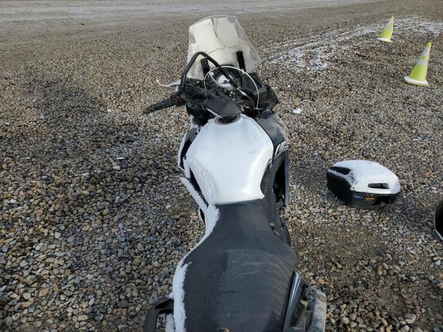 2020 KAWASAKI KLE650 F - JKALEEF15LDA37891
