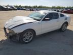 1ZVBP8AMXB5137020 FORD MUSTANG Photo 1