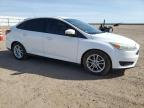 Lot #3115068874 2016 FORD FOCUS SE