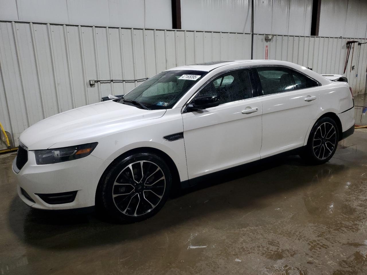 FORD TAURUS SHO