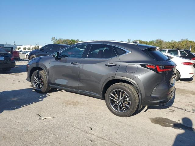 2024 LEXUS NX 250 BAS 2T2ADCAZ5RC008083