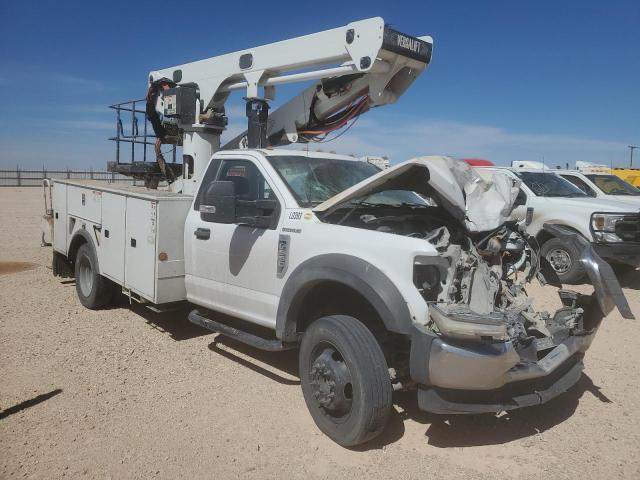 Global Auto Auctions: 2019 FORD F550 SUPER