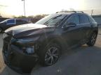 2023 LEXUS RX 350 BAS - 2T2BAMBA8PC007406
