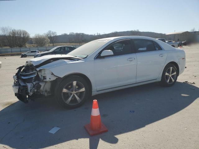 Vin: 1g1zc5e12bf300659, lot: 48360435, chevrolet malibu 1lt 2011 img_1