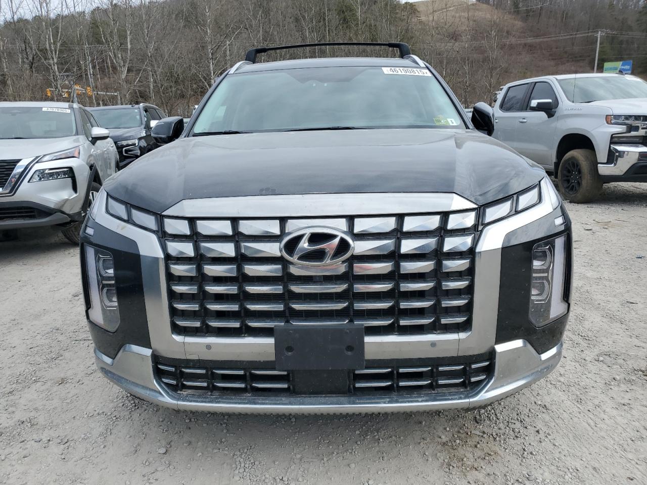 HYUNDAI PALISADE CALLIGRAPHY