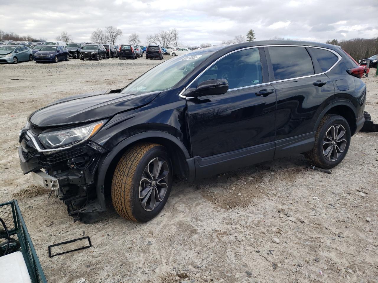 HONDA CR-V EX