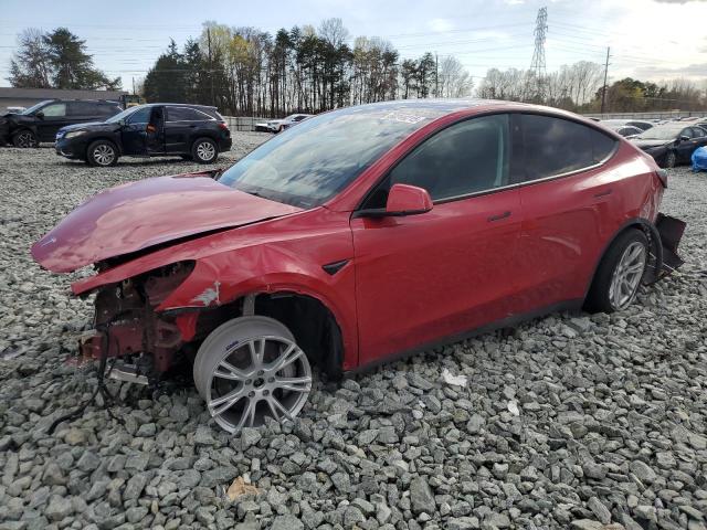 Vin: 7saygdee5nf387781, lot: 50248215, tesla model y 2022 img_1