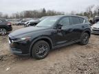 Top Destinations for Shipping Cars from the USA