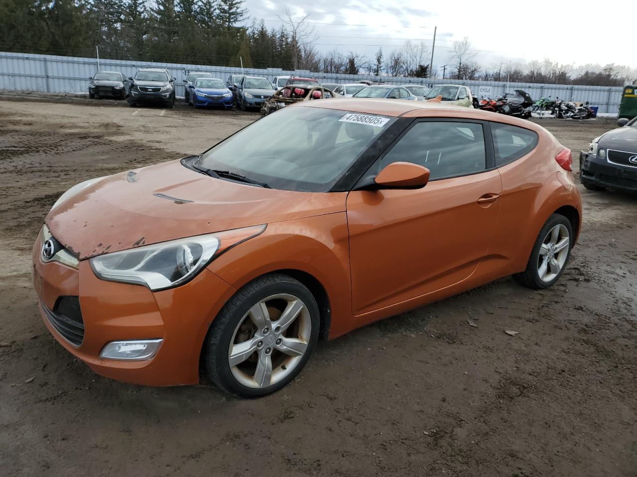 Vehicle photo