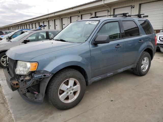 Vin: 1fmcu0dg4ckb98319, lot: 49796925, ford escape xlt 2012 img_1