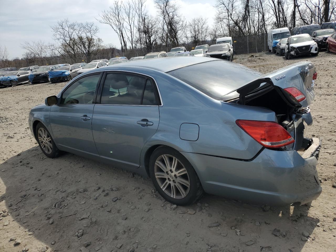 Lot #3315686718 2005 TOYOTA AVALON XL