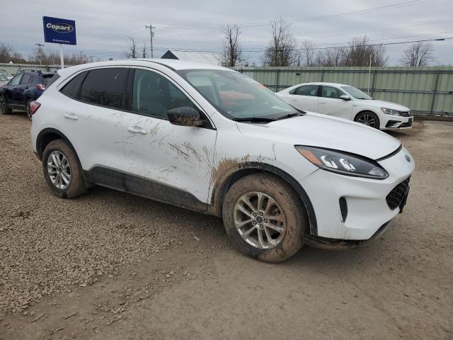 Vin: 1fmcu9g61nub14505, lot: 50307425, ford escape se 20224