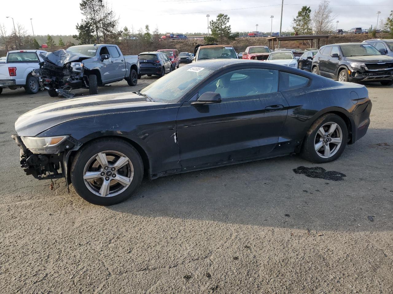FORD MUSTANG