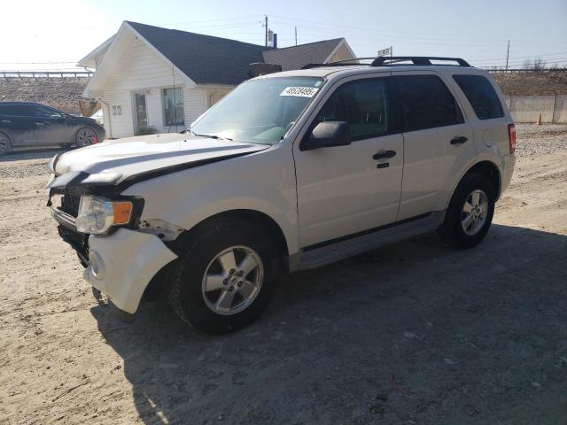 Vin: 1fmcu0dg6akb80644, lot: 48528495, ford escape xlt 2010 img_1
