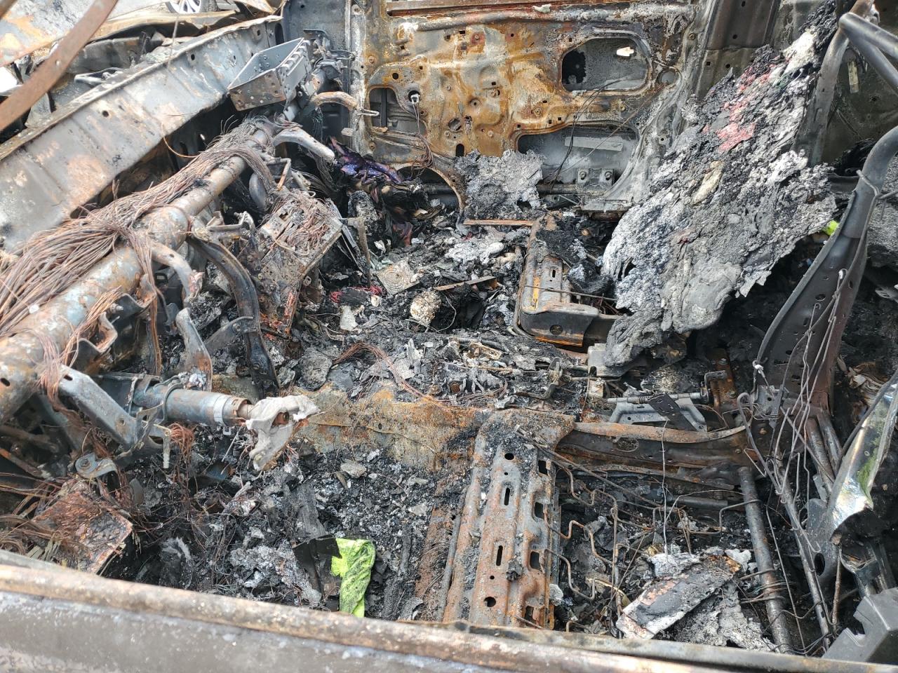 Global Auto Auctions