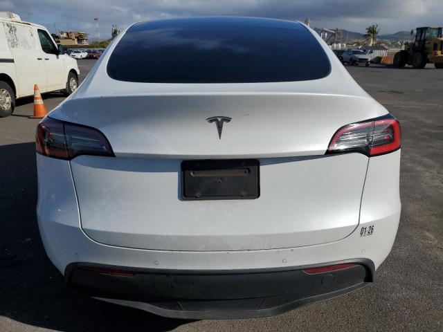 2021 TESLA MODEL Y - 5YJYGDED9MF105869