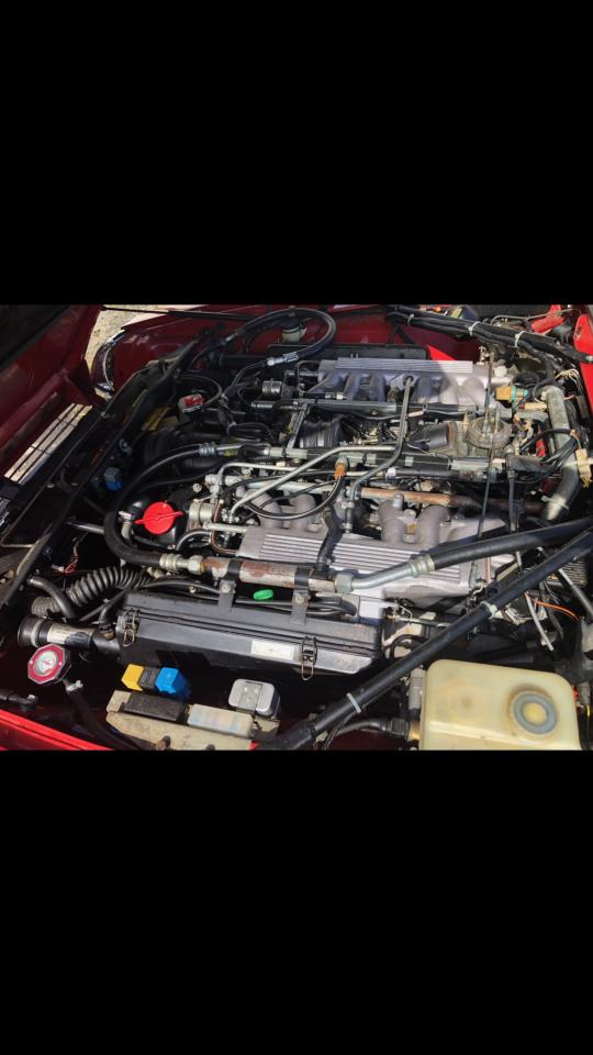 Lot #3125216362 1990 JAGUAR XJS CLASSI