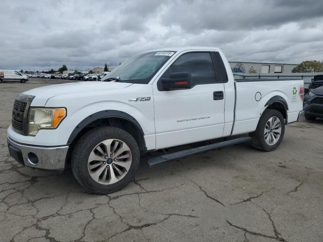 FORD F150 2009 white pickup gas 1FTRF12W69KC16286 photo #1