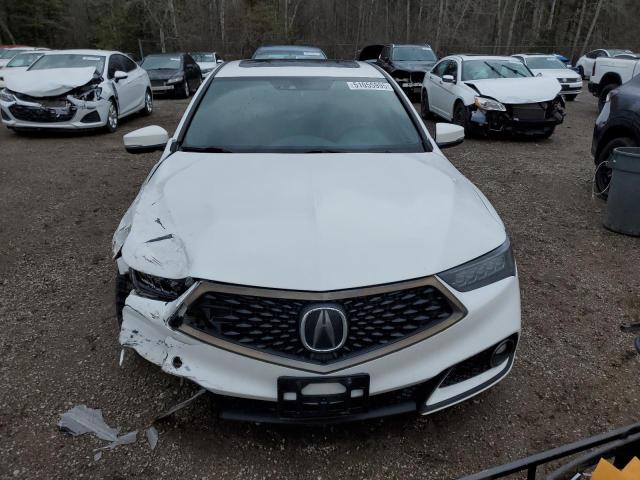 2019 ACURA TLX TECHNO 19UUB1F61KA800995