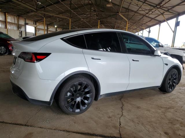 2021 TESLA MODEL Y - 5YJYGDEE6MF075819