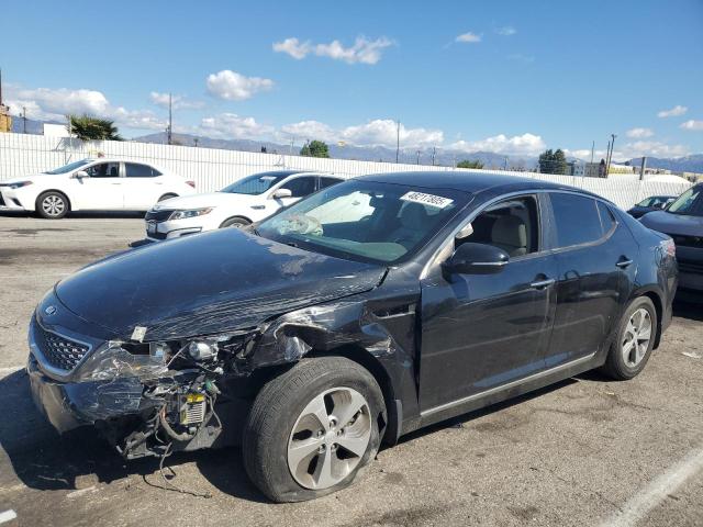 2015 KIA OPTIMA HYB - KNAGM4AD9F5081228