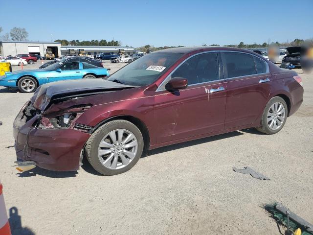 2011 HONDA ACCORD EXL - 1HGCP3F86BA021750