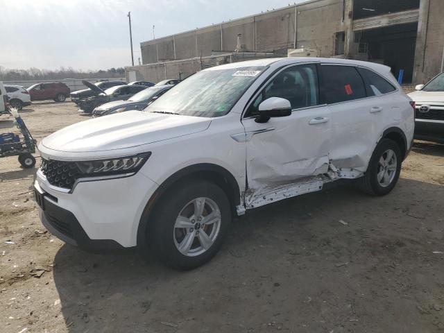 Vin: 5xyrg4lc8pg171664, lot: 49440995, kia sorento lx 2023 img_1